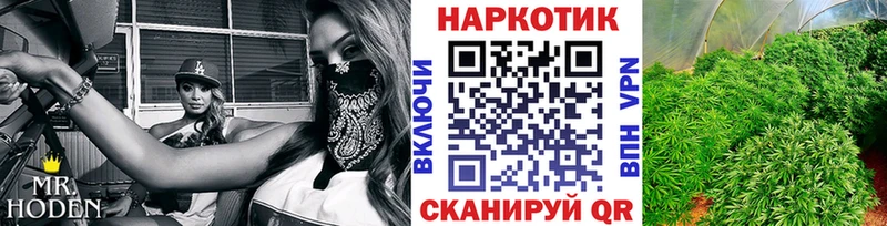 Виды наркоты Светлогорск Бутират  Меф 