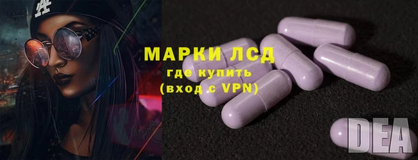 PSILOCYBIN Аркадак