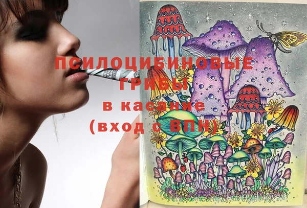 PSILOCYBIN Аркадак