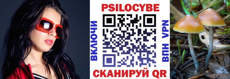 Псилоцибиновые грибы Psilocybine cubensis  omg маркетплейс  Светлогорск  купить наркотик 